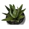 Monarch Specialties Artificial Plant, 6" Tall, Succulent, Indoor, Faux, Fake, Table, Greenery, Potted, Set Of 3 I 9587 - alternate 2